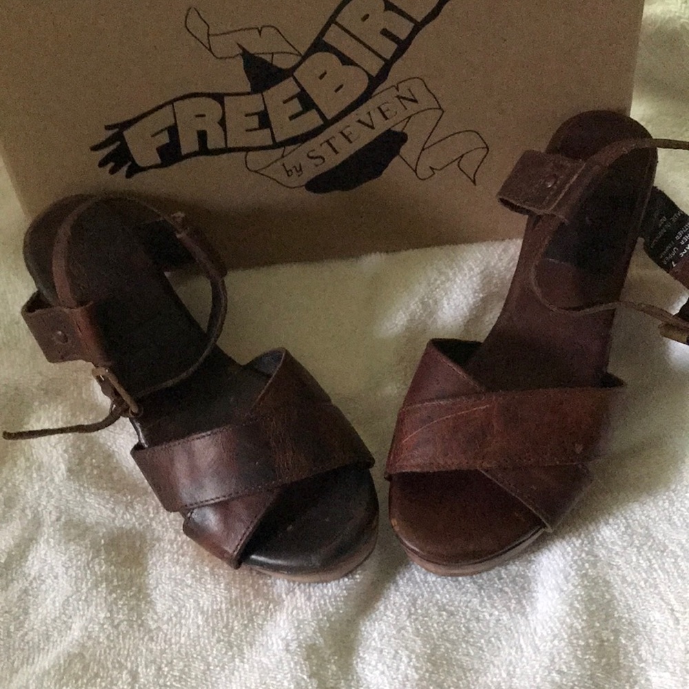 Freebird by Steven